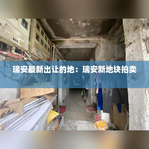 瑞安最新出让的地：瑞安新地块拍卖 