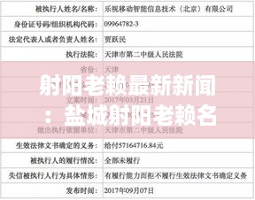 射阳老赖最新新闻：盐城射阳老赖名单查询 