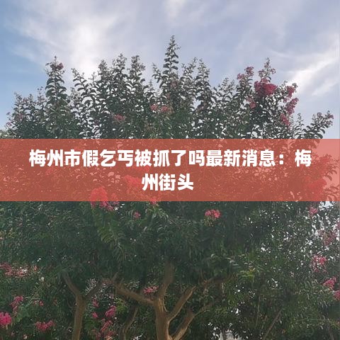 梅州市假乞丐被抓了吗最新消息：梅州街头 