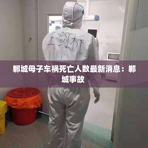 郸城母子车祸死亡人数最新消息：郸城事故 