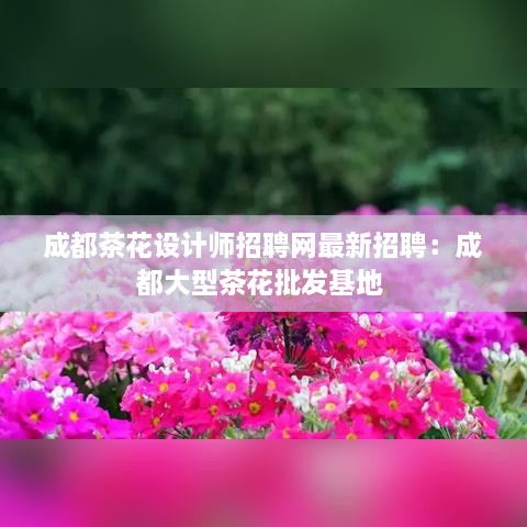 成都茶花设计师招聘网最新招聘：成都大型茶花批发基地 