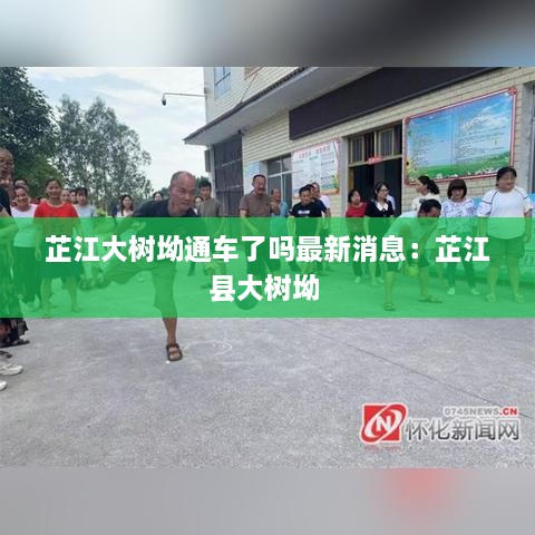 芷江大树坳通车了吗最新消息：芷江县大树坳 