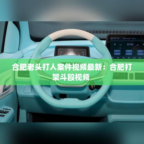 合肥老头打人案件视频最新：合肥打架斗殴视频 