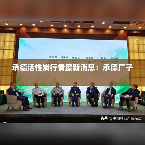 承德活性炭行情最新消息：承德厂子 