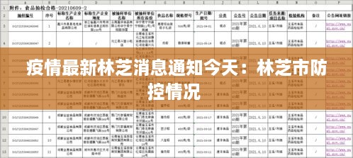 疫情最新林芝消息通知今天：林芝市防控情况 