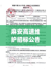 麻安高速维护招标公告最新：麻安高速在建 