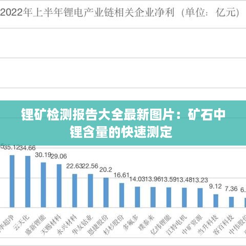 锂矿检测报告大全最新图片：矿石中锂含量的快速测定 