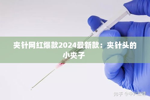 夹针网红爆款2024最新款：夹针头的小夹子 