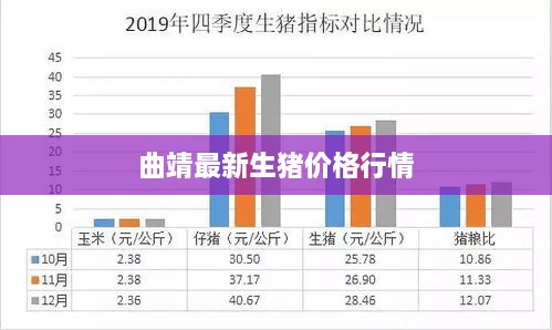 曲靖最新生猪价格行情