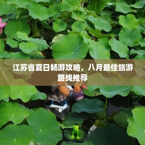 江苏省夏日畅游攻略，八月最佳旅游路线推荐