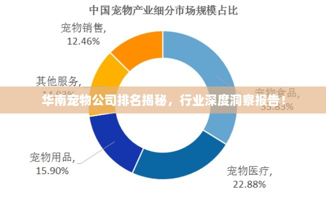 华南宠物公司排名揭秘，行业深度洞察报告！