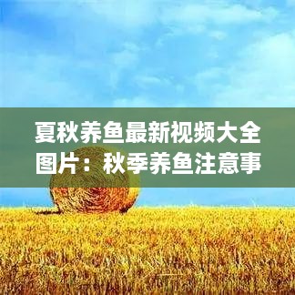 夏秋养鱼最新视频大全图片：秋季养鱼注意事项 