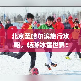 北京至哈尔滨旅行攻略，畅游冰雪世界！