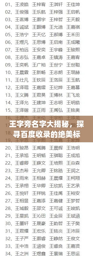 王字旁名字大揭秘，探寻百度收录的绝美标题