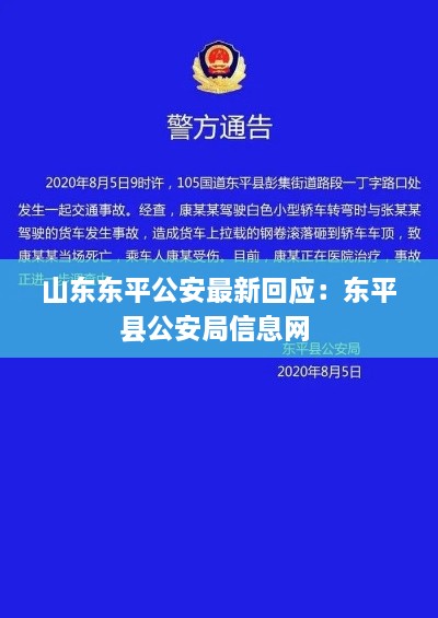 山东东平公安最新回应：东平县公安局信息网 