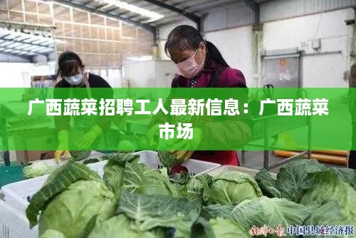 广西蔬菜招聘工人最新信息：广西蔬菜市场 