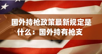 国外持枪政策最新规定是什么：国外持有枪支 