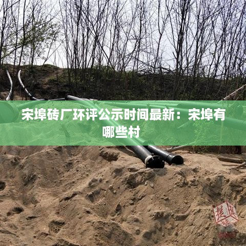 宋埠砖厂环评公示时间最新：宋埠有哪些村 