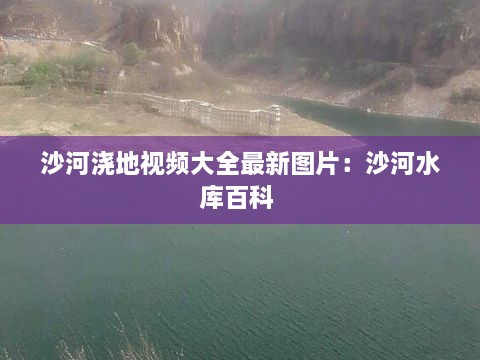 沙河浇地视频大全最新图片：沙河水库百科 