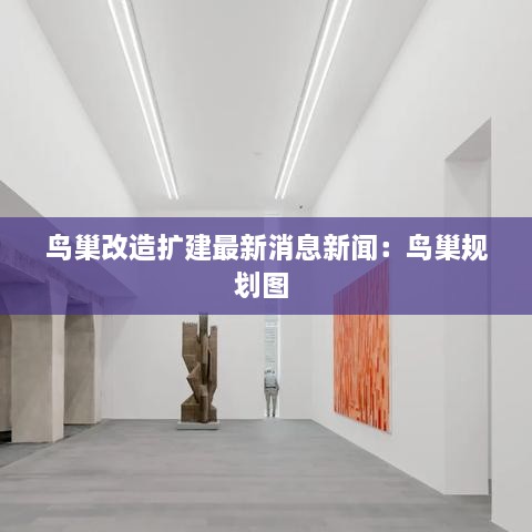 鸟巢改造扩建最新消息新闻：鸟巢规划图 