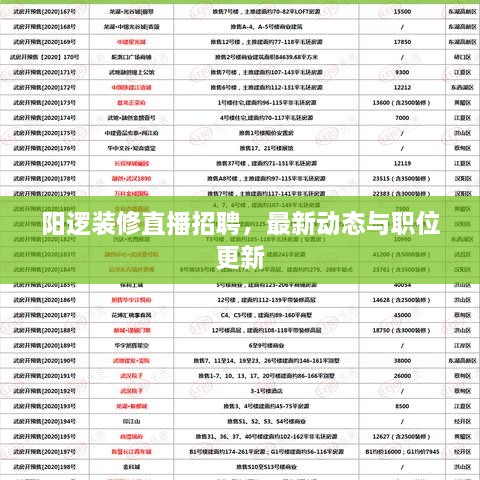 阳逻装修直播招聘，最新动态与职位更新