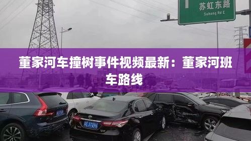 董家河车撞树事件视频最新：董家河班车路线 