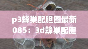 p3蜂巢配胆图最新085：3d蜂巢配胆图今天最新273期 