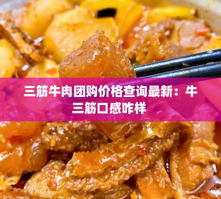 三筋牛肉团购价格查询最新：牛三筋口感咋样 