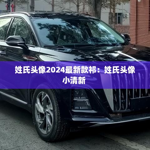 姓氏头像2024最新款祁：姓氏头像小清新 