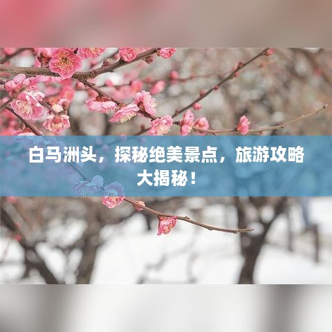 白马洲头，探秘绝美景点，旅游攻略大揭秘！