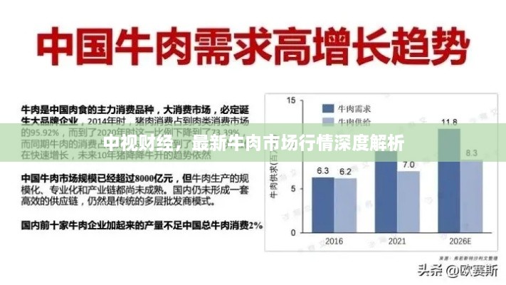 中视财经，最新牛肉市场行情深度解析