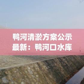 鸭河清淤方案公示最新：鸭河口水库清淤工程第一标 