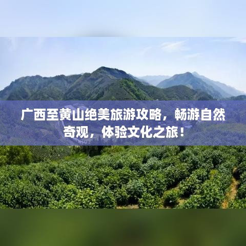 广西至黄山绝美旅游攻略，畅游自然奇观，体验文化之旅！