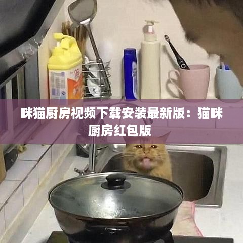 咪猫厨房视频下载安装最新版：猫咪厨房红包版 