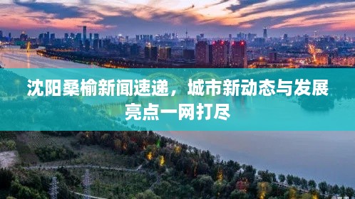 沈阳桑榆新闻速递，城市新动态与发展亮点一网打尽