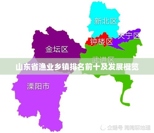 山东省渔业乡镇排名前十及发展概览