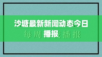 沙塘最新新闻动态今日播报