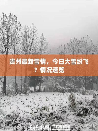 贵州最新雪情，今日大雪纷飞？情况速览