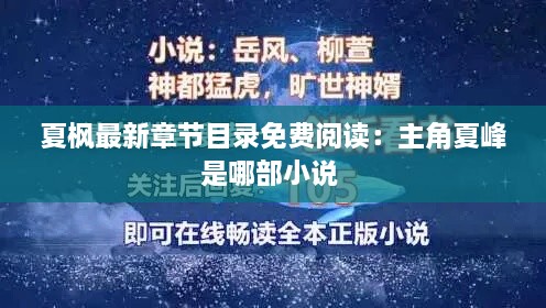 夏枫最新章节目录免费阅读：主角夏峰是哪部小说 