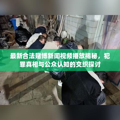 最新合法赌博新闻视频播放揭秘，犯罪真相与公众认知的交织探讨