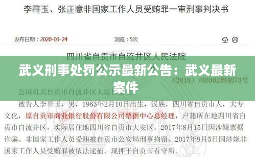 武义刑事处罚公示最新公告：武义最新案件 