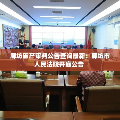 廊坊破产审判公告查询最新：廊坊市人民法院开庭公告 