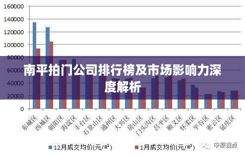 南平拍门公司排行榜及市场影响力深度解析