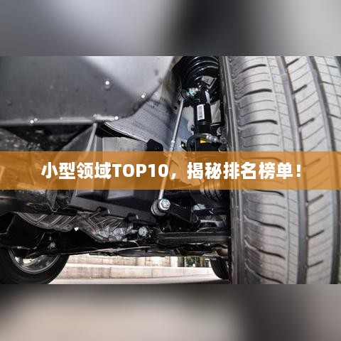 小型领域TOP10，揭秘排名榜单！