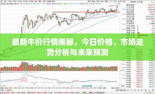 最新牛价行情揭秘，今日价格、市场走势分析与未来预测