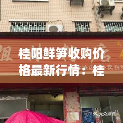 桂阳鲜笋收购价格最新行情：桂阳特产店 