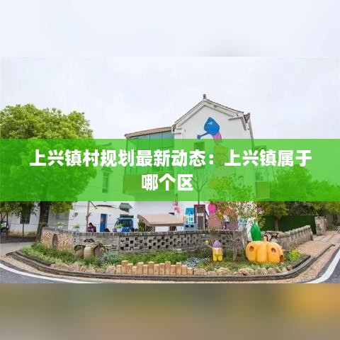 上兴镇村规划最新动态：上兴镇属于哪个区 