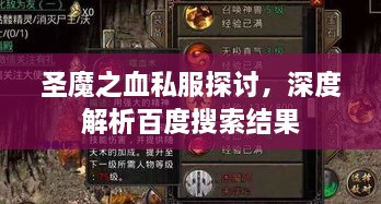 圣魔之血私服探讨，深度解析百度搜索结果