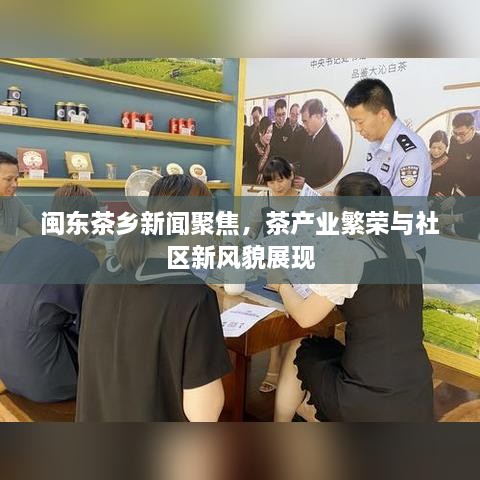 闽东茶乡新闻聚焦，茶产业繁荣与社区新风貌展现