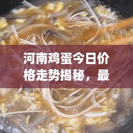 河南鸡蛋今日价格走势揭秘，最新行情分析报告